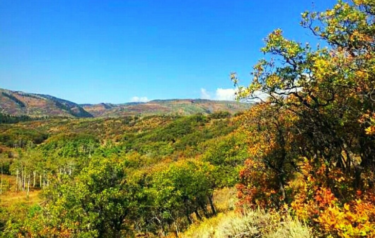 50560 Smith Creek Park Road Photo