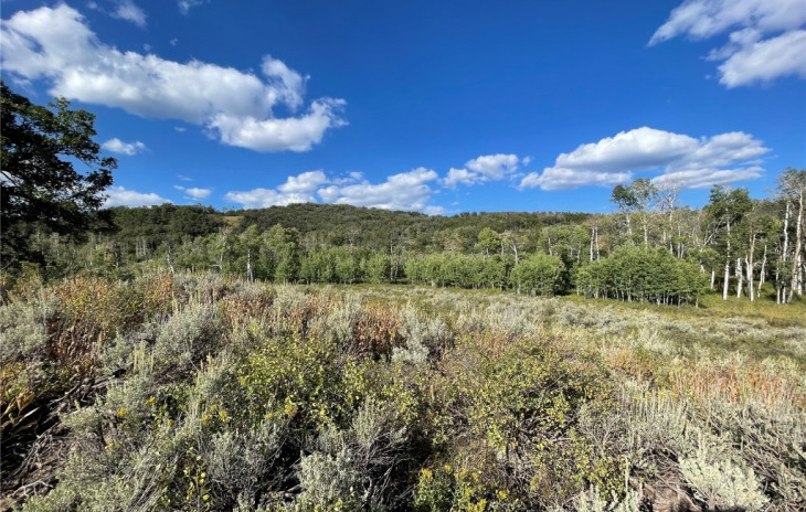 50560 Smith Creek Park Road Photo