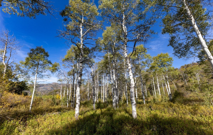 50560 Smith Creek Park Road Photo