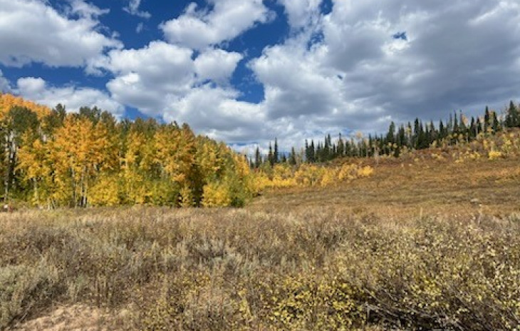TBD Beaver Canyon Drive Photo