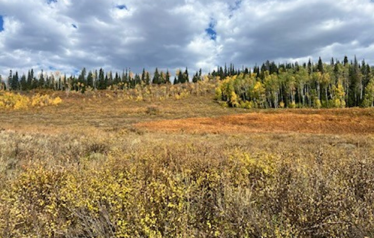 TBD Beaver Canyon Drive Photo