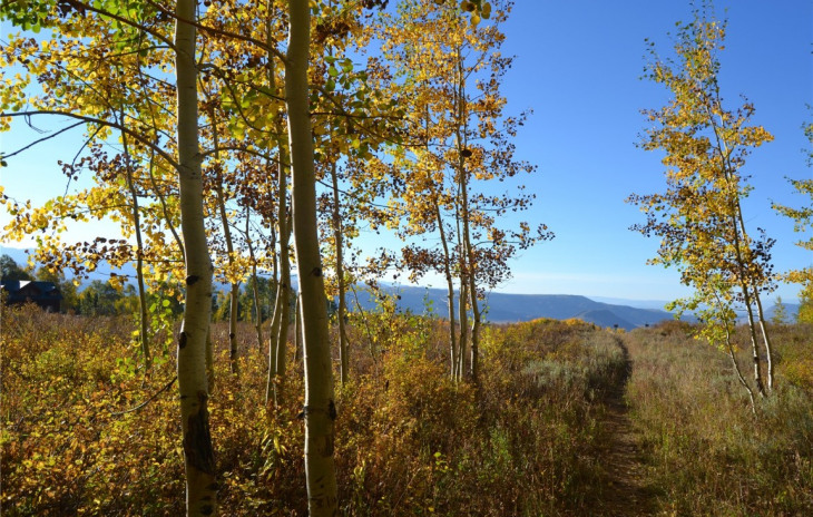 TBD Beaver Canyon Drive Photo