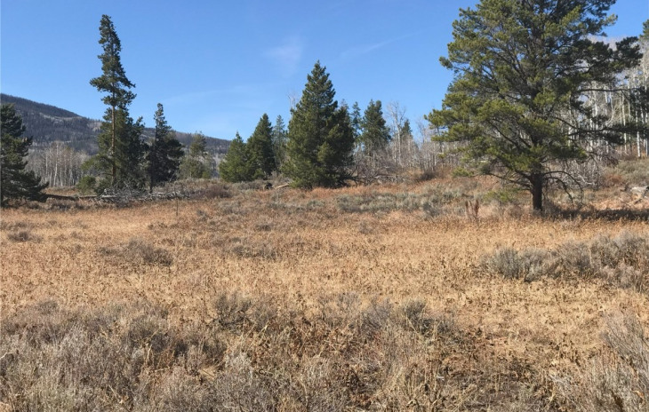 33512 Seneca Trail Photo