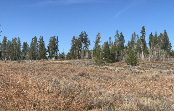 33512 Seneca Trail Photo