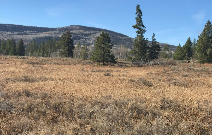 33520 Seneca Trail Photo