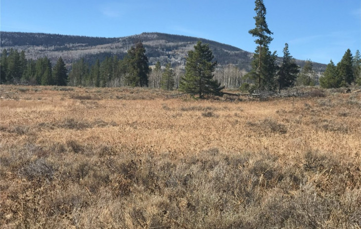 33520 Seneca Trail Photo
