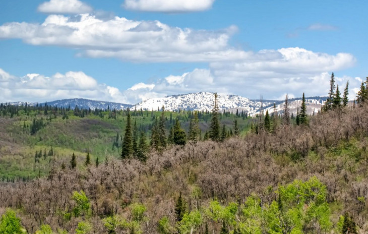 27925 Echo Valley Lane Photo