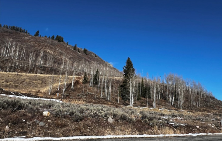 29800 County Road 64 Photo