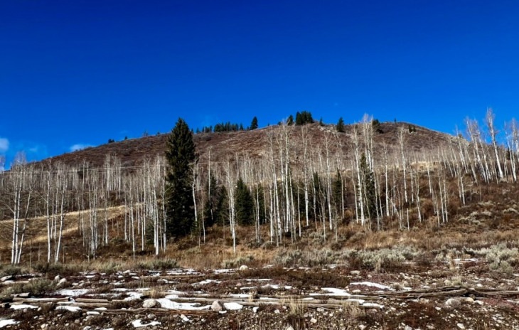 29800 County Road 64 Photo