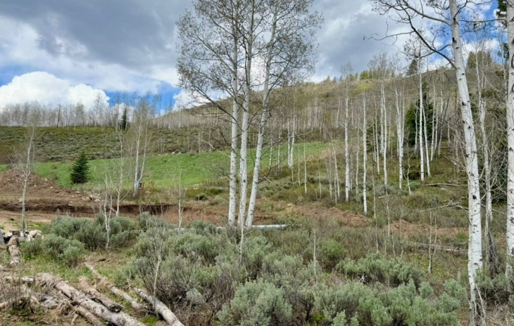 29800 County Road 64 Photo