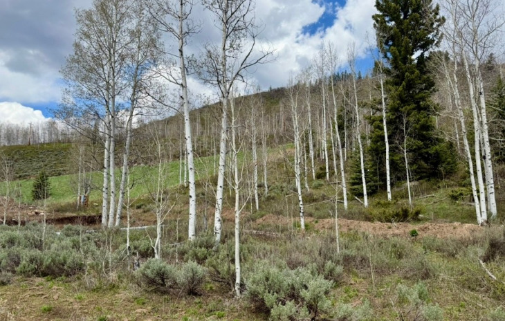 29800 County Road 64 Photo