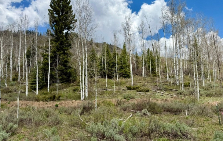 29800 County Road 64 Photo