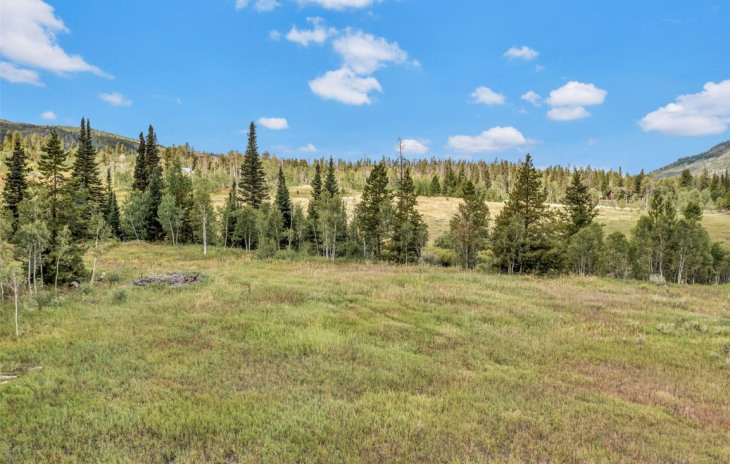 33190 Filly Trail Photo