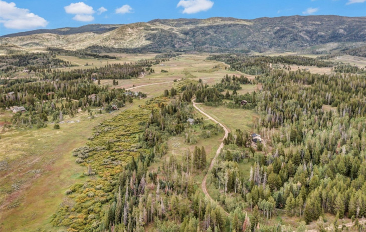 33190 Filly Trail Photo