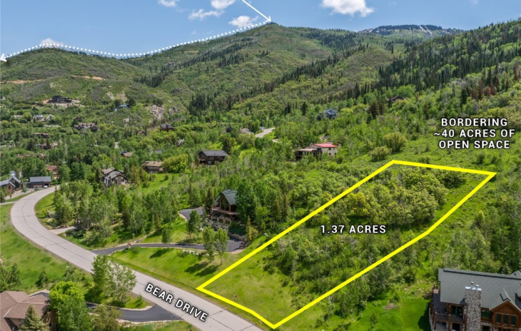 2245 Bear Drive Photo
