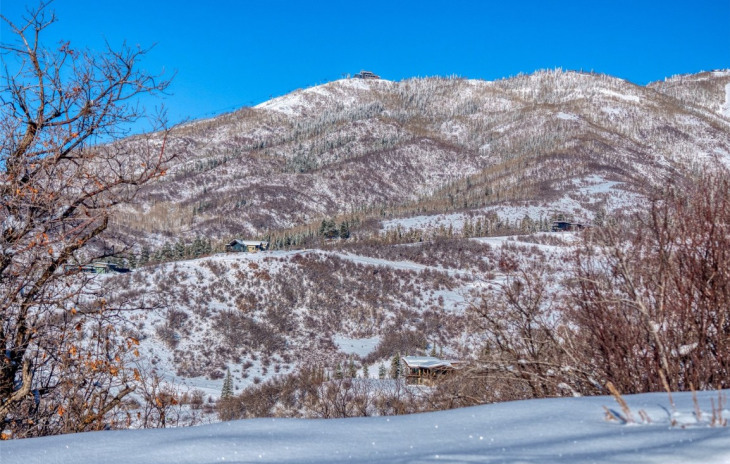 34315 Panorama Drive Photo