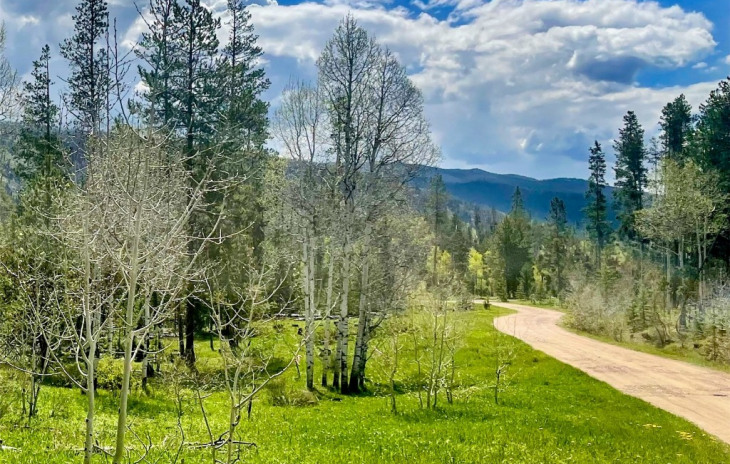 20685 Cinch Trail Photo
