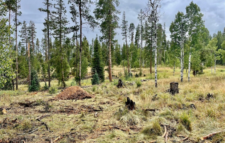 20685 Cinch Trail Photo