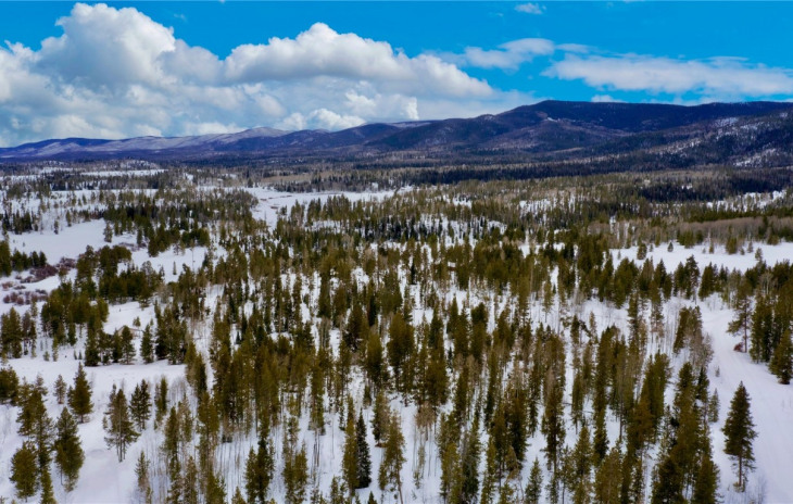 20685 Cinch Trail Photo