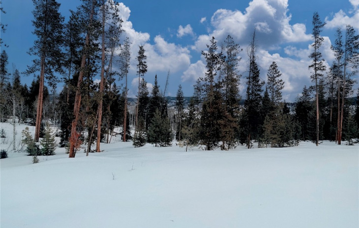 20685 Cinch Trail Photo