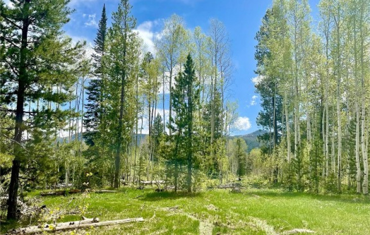 20685 Cinch Trail Photo