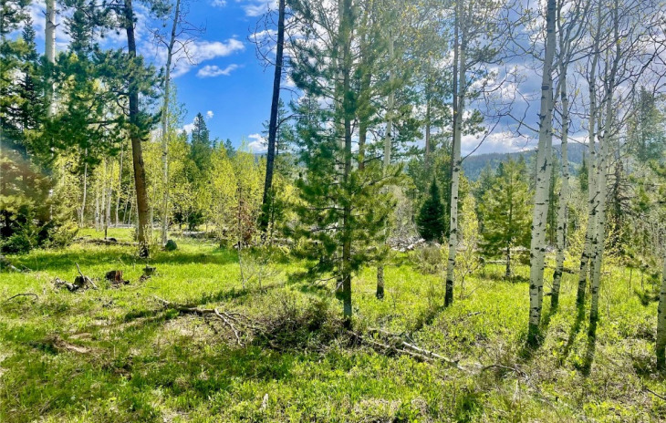 20685 Cinch Trail Photo