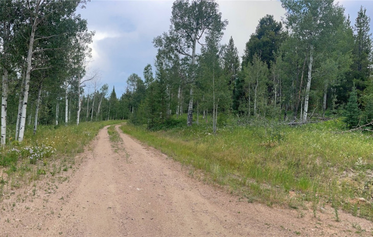 33552 Seneca Trail Photo