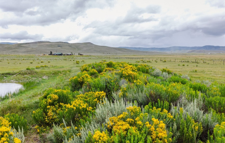 TBD Highway 134 Photo