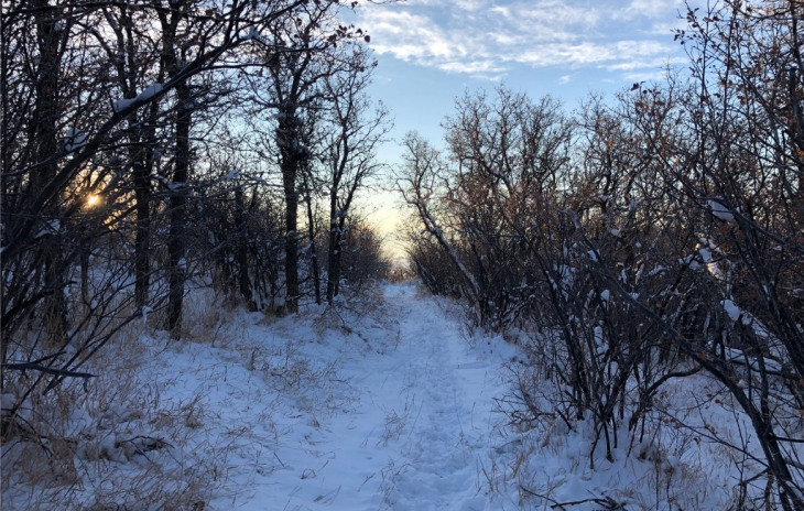 TBD County Road 46a Photo