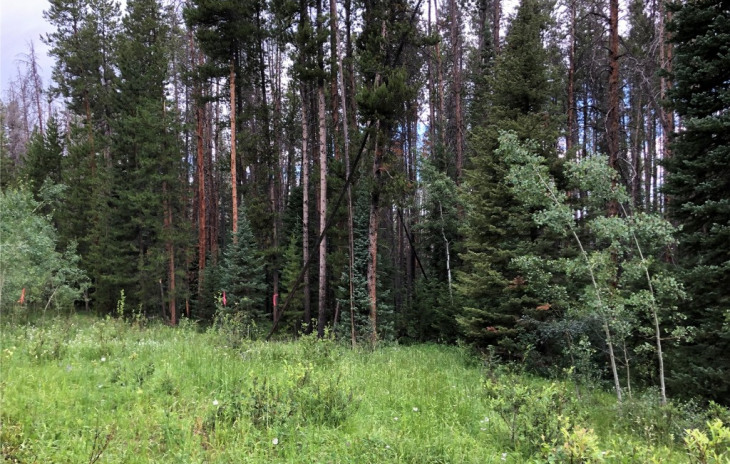 TBD Springboard Trail Photo