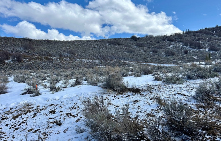 31700 Shoshone Way Photo