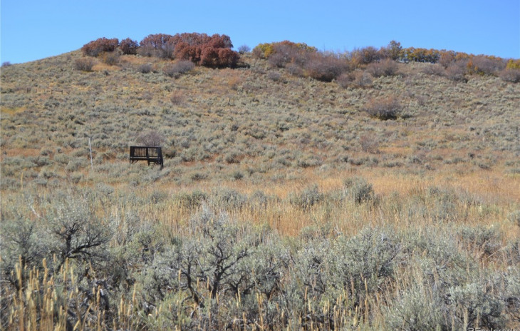 23615 Stage Stop Trail Photo
