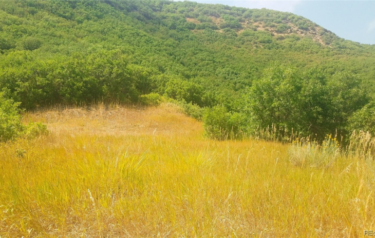 TBD Rcr 179 Photo