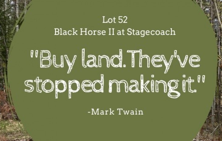 - Lot 52 Black Horse Ii Photo