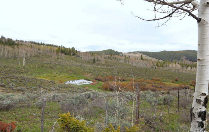 0 County Road 225 Photo