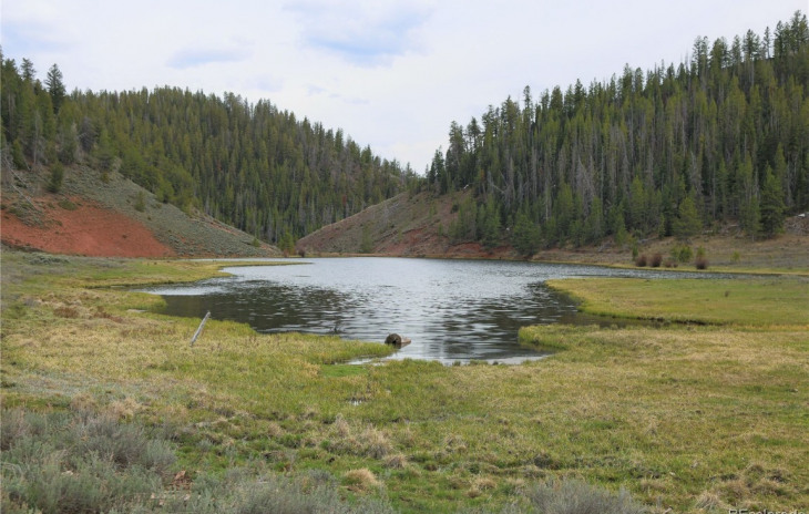 0 County Road 225 Photo