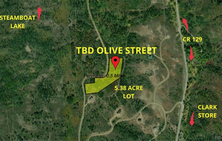 - TBD Olive Street Photo