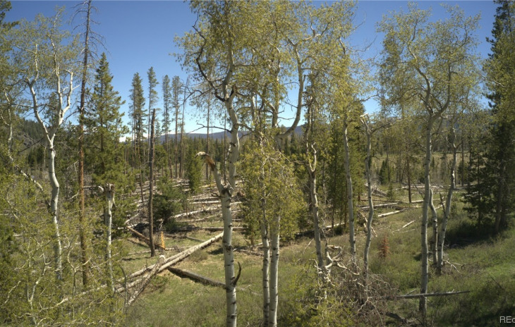 34460 Whiffle Tree Trail Photo