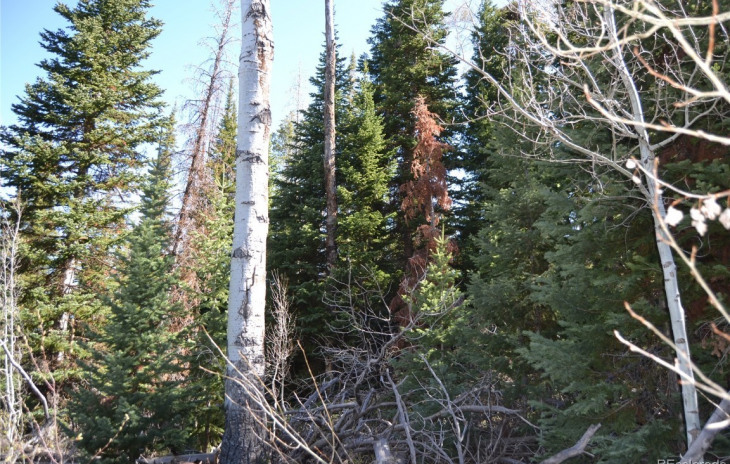 57010 Golden Tide Place Photo