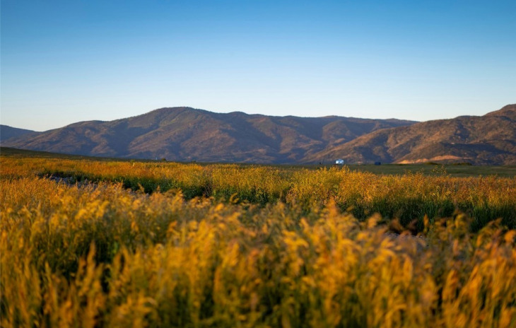 30275 State Hwy 131 Photo