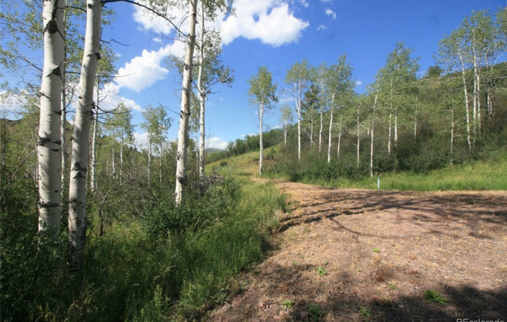 23900 County Road 212 Photo