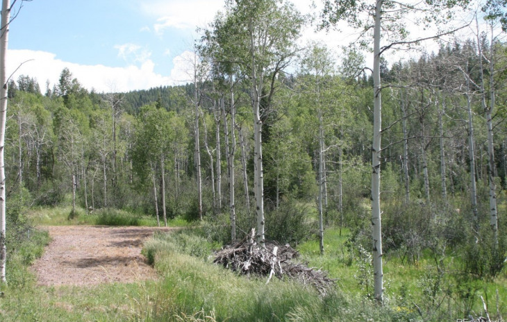 23900 County Road 212 Photo