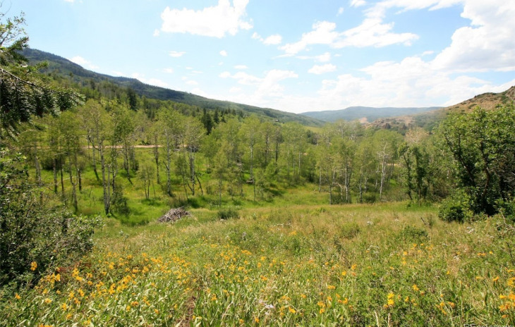 23900 County Road 212 Photo