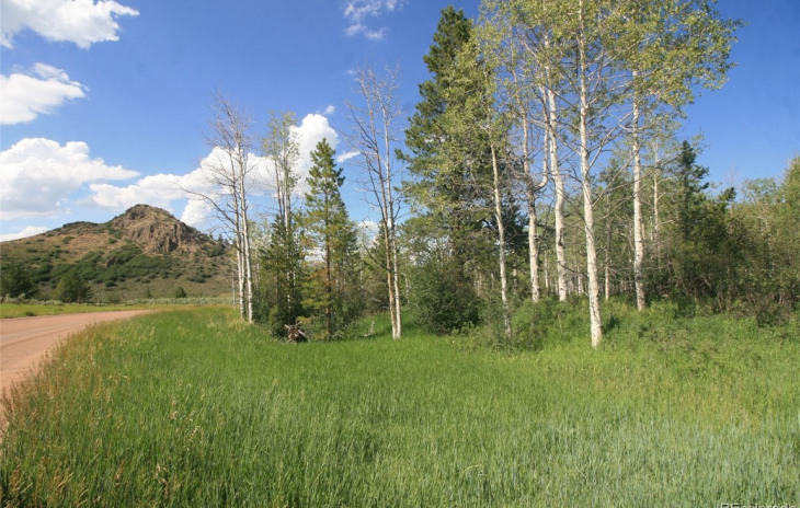 23900 County Road 212 Photo