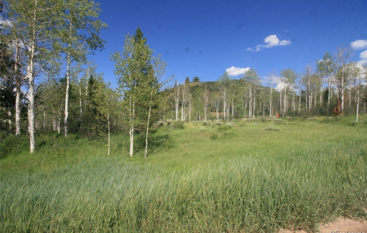 23900 County Road 212 Photo