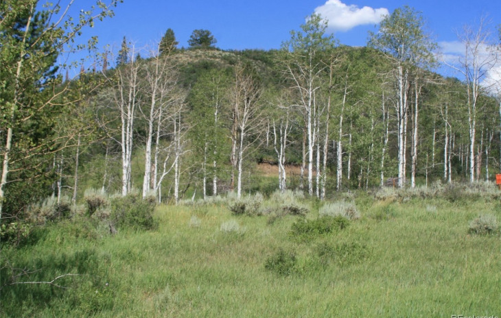23900 County Road 212 Photo