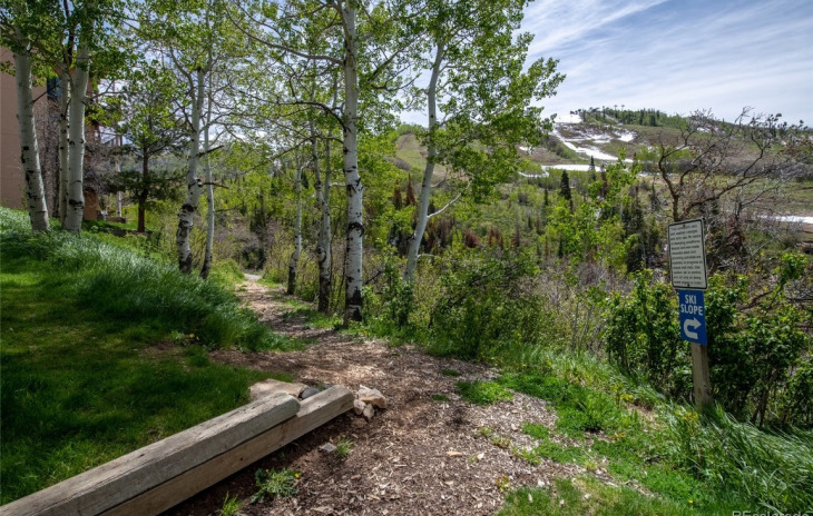 2355 Storm Meadows Drive Photo