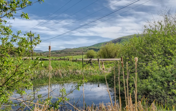 28950 County Road 14 Photo