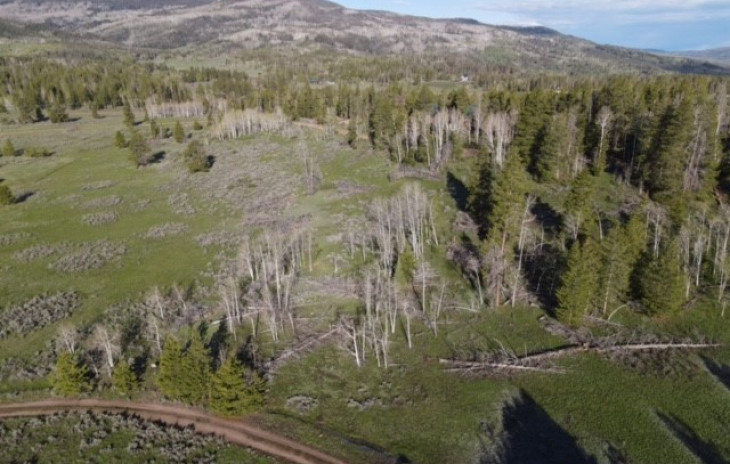 33572 Seneca Trail Photo