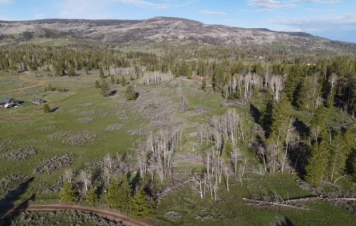 33572 Seneca Trail Photo